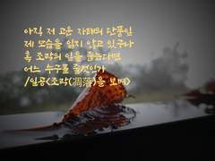 지금, 바로 여기