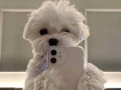 (무료) 인스타그램 팔로워 늘리는 방법