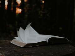 나비현상의 싱케리타스로부터