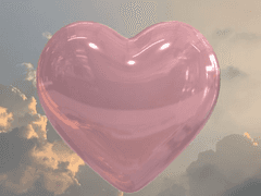 남자 가정부는 안되나요 14