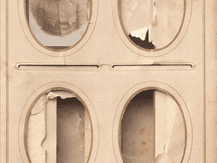 네 그림자마저도 삼키고 싶어