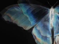 [슈랩] 방황하는 시절에 만나