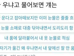 [NCT 유사투표] 내가 우냐고 물어보면 걔는