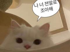 계정이동합니다!