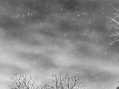 추운 게 좋다기 보다는...~