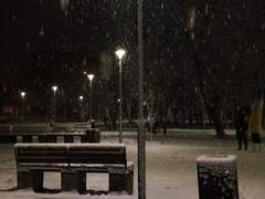 너를 알고, 나는 앓았다.