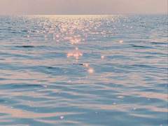 널 사랑할 일은 없을 거야