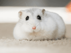 보내지 못한 편지