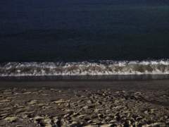 사랑해서 그랬어요.