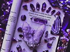 [ Nieve Harrodson 니에베 헤로즌 / XX / 후플푸프/ 머글본 / 6 ]