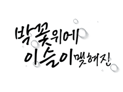 박꽃 위에 이슬이 맺혀진