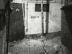 어둠으로 덮힌 세계