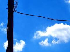 [ 단편 ] 미지근한 너희의 온도.