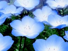 [Onepiece] 분실 | 紛失