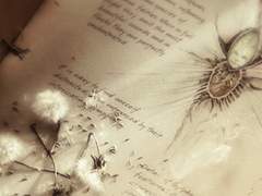 『𝑨𝒃𝒐𝒖𝒕 𝑲𝒂𝒍𝒍𝒆𝒏』