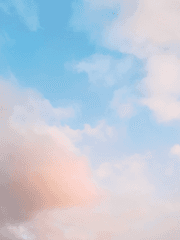 꽃다발 같은 사랑을 했다