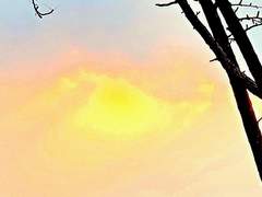 [신카이] 명탐정 카이토