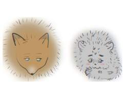 타를로스ㅡ설표카를x여우티케