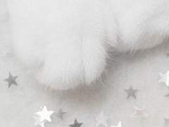 니야 실비어 오필리아 / XX / 혼혈 / 래번클로