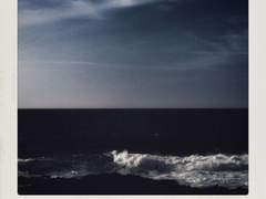 자신을 부정하는 먼지에게,