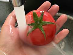 엔시티 나페스 추천