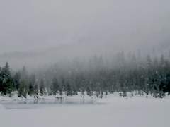 한겨울 밤의 꿈