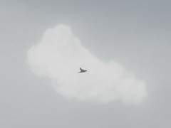 달빛 사이로 얼굴을 보여다오