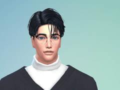 다음 컨셉 심 계획