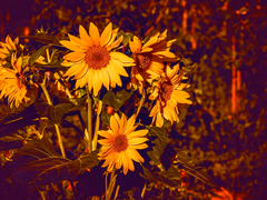 영영 끝나지 않을 것 같던 기다림의 마침표를 찍으며, 돌아왔어!