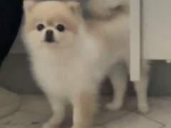 강방글 관찰일지