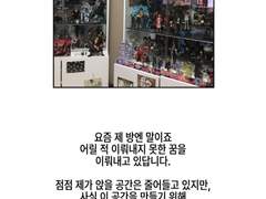 집 장식장 굿즈 정리기