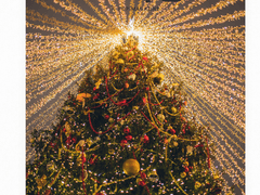 🧩K-POP 매거진 k-化🧩 5호