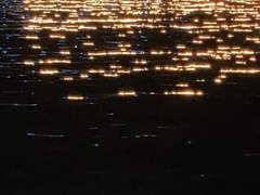 가라앉는거야, 함께.