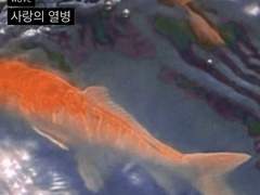 너는 포말처럼 보글보글