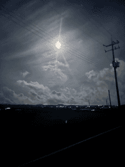 호사난상한 문학