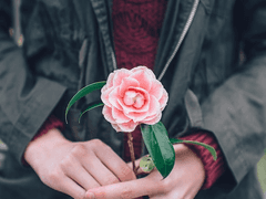 Blooming Catastrophe 1