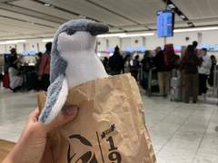 11월 26일) 하루에 3개국 발도장 찍기