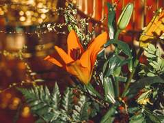 [해량무현] 정략결혼 회피용 계약결혼이 고난에 빠진 이유 2