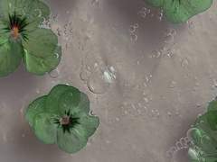 철들고Fe내려Fe들고철내려