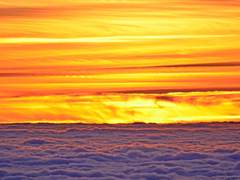 しおざわ 亮介 | XY