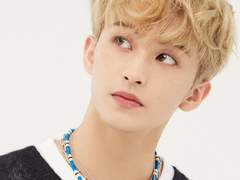 정원으로 떨어진 별 0