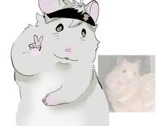 블랙클로버 백업