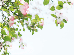 민형+여주 9년째 연애 中 (5)