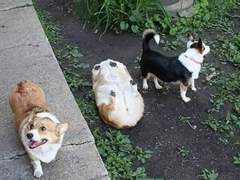 메리 키키주디마스