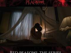 Red Peafowl : 붉은 공작 - 허가