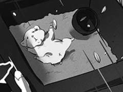 상자 속 작은 행복