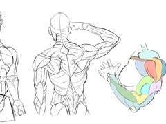 2023년 12월 16일 (토)<해부학>