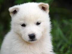 2023.12.09 결투 후기