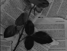 𝕻𝖔𝖎𝖘𝖔𝖓𝖎𝖓𝖌