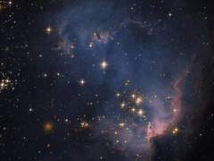 𝐑𝐨𝐲𝐚 𝐈𝐦𝐞𝐥𝐢𝐧